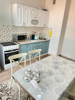 Шикарная двухкомнатная квартира в центре Нур-Султан, Astana